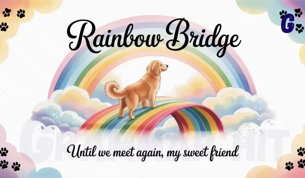 Rainbow Bridge Poem for Dogs